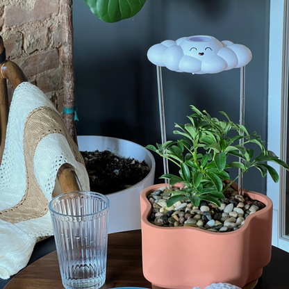 Misty Cloud Plant Waterer - Rain Cloud Planter – House Plant Accessory