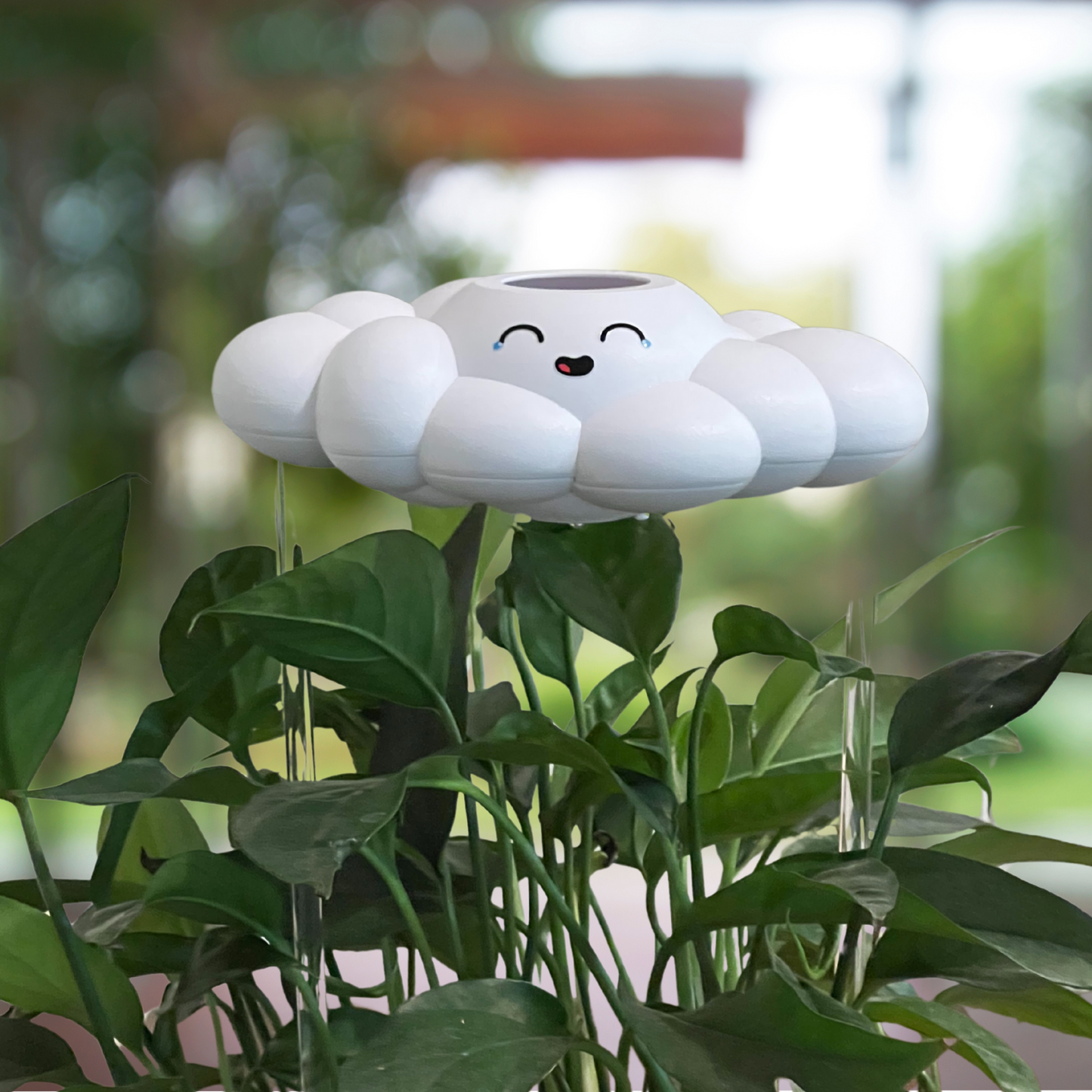 Misty Cloud Plant Waterer - Rain Cloud Planter – House Plant Accessory