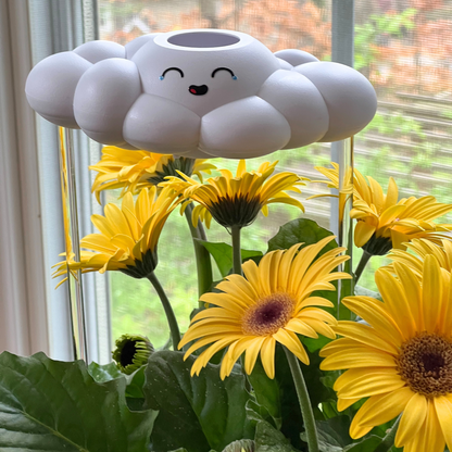 Misty Cloud Plant Waterer - Rain Cloud Planter – House Plant Accessory