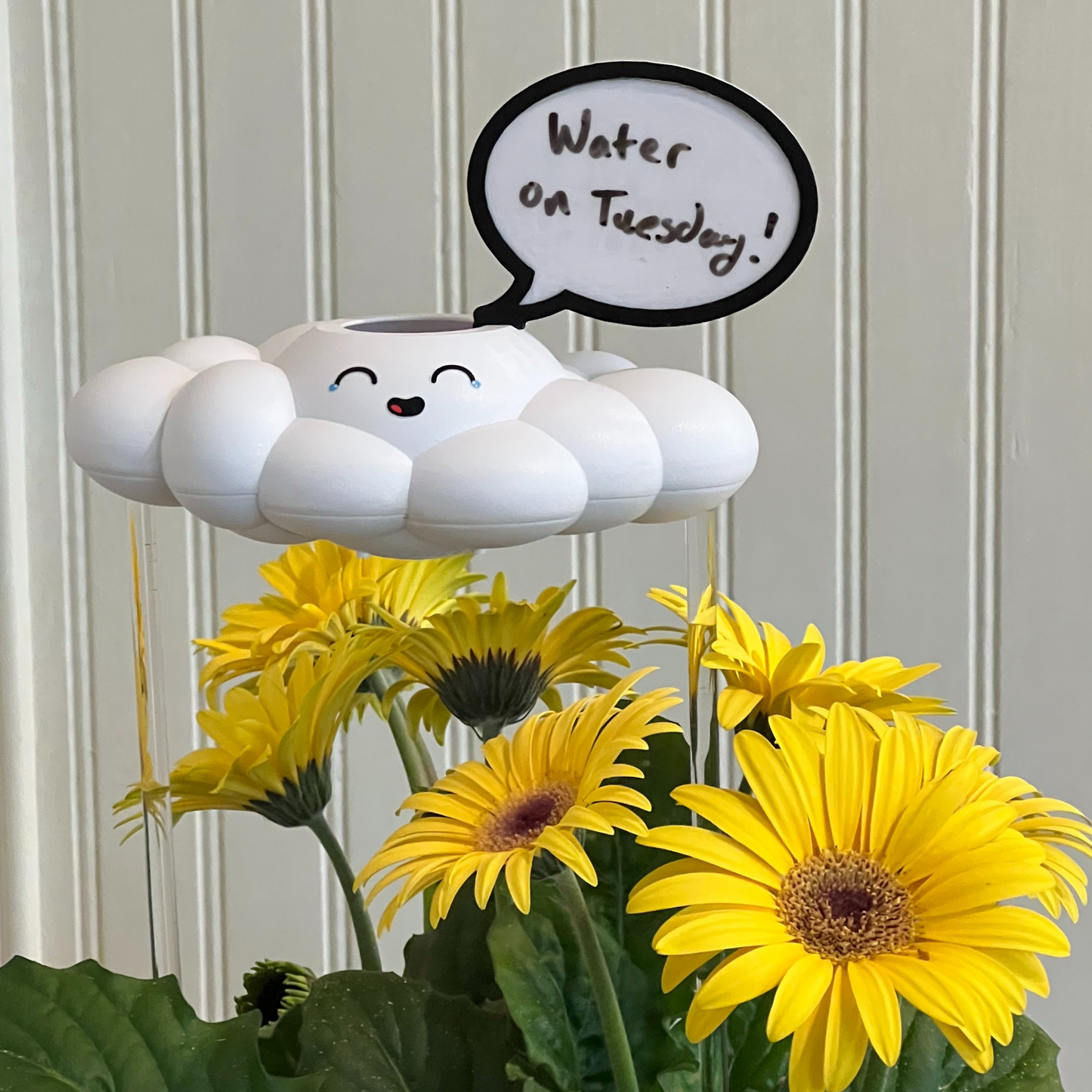Misty Cloud Plant Waterer - Rain Cloud Planter – House Plant Accessory