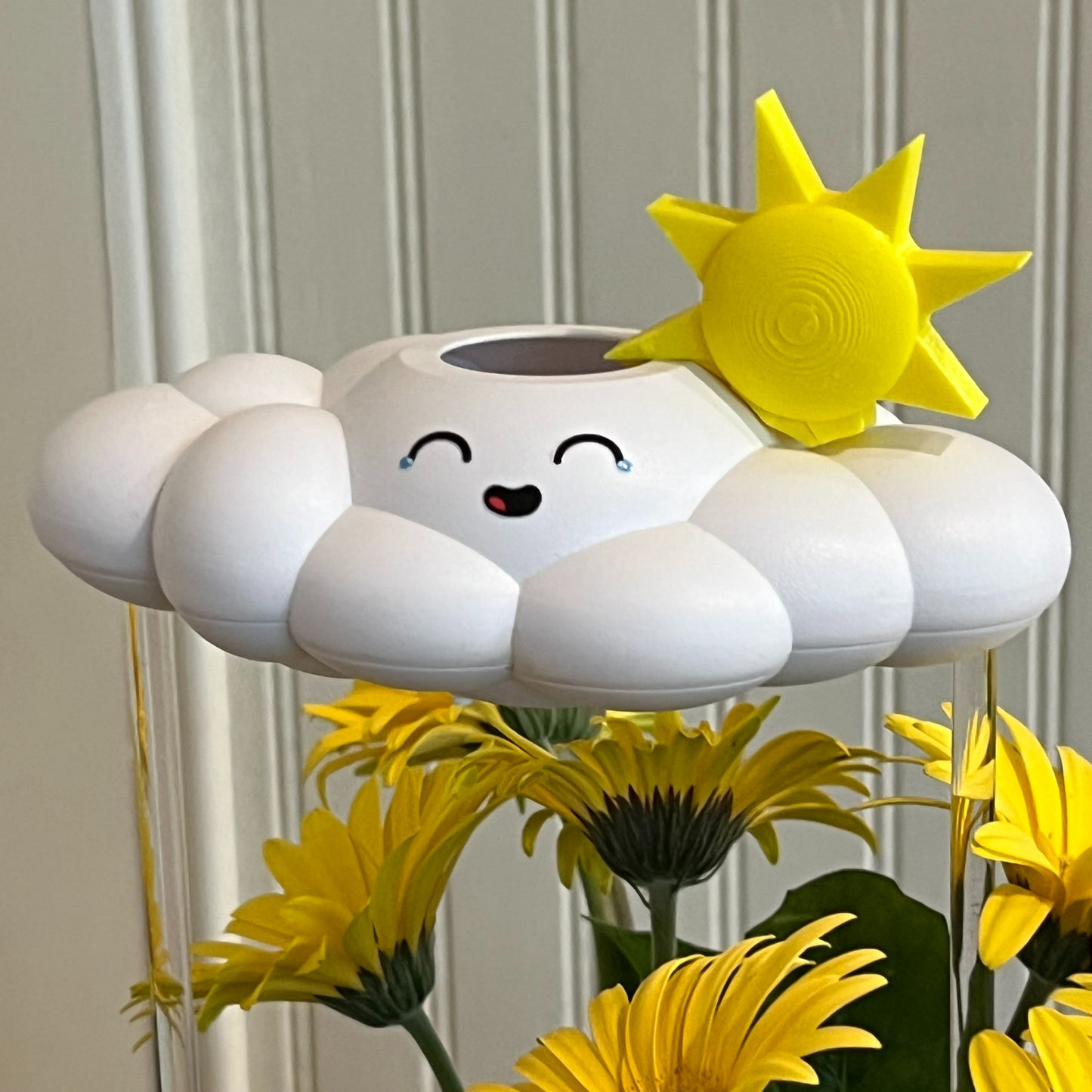 Misty Cloud Plant Waterer - Rain Cloud Planter – House Plant Accessory