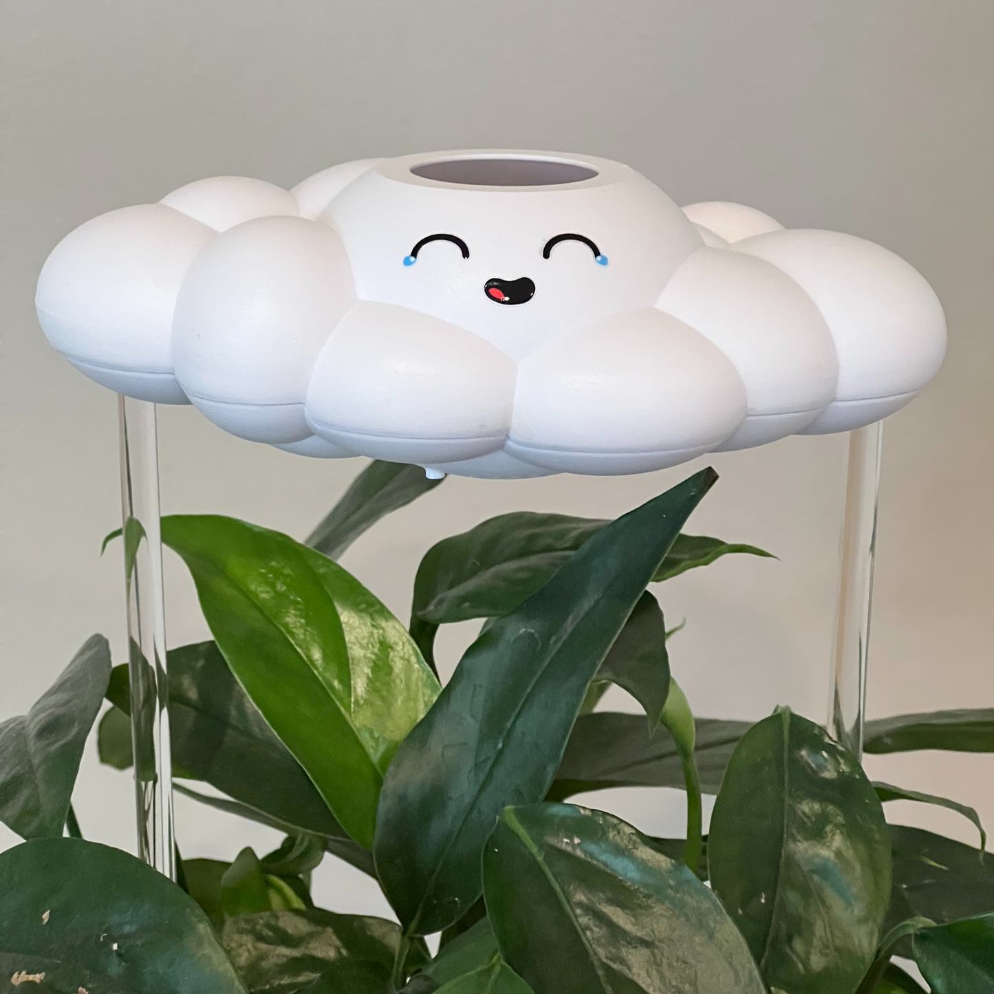 Misty Cloud Plant Waterer - Rain Cloud Planter – House Plant Accessory