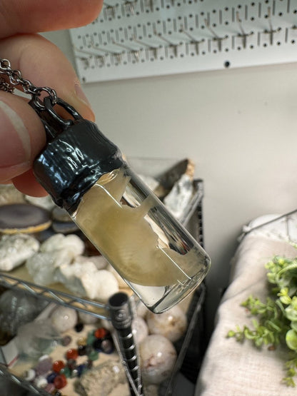 Mortessa- Wet Specimen Ghost Pinkie Mouse and Moonstone Star Necklace