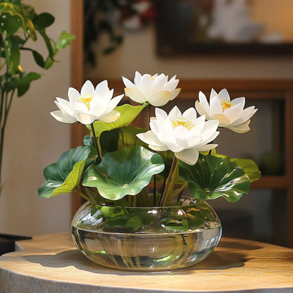 Asiatic White Lotus Seeds for Planting  All Seasons, Easy to Grow, Perfect for Gardening
