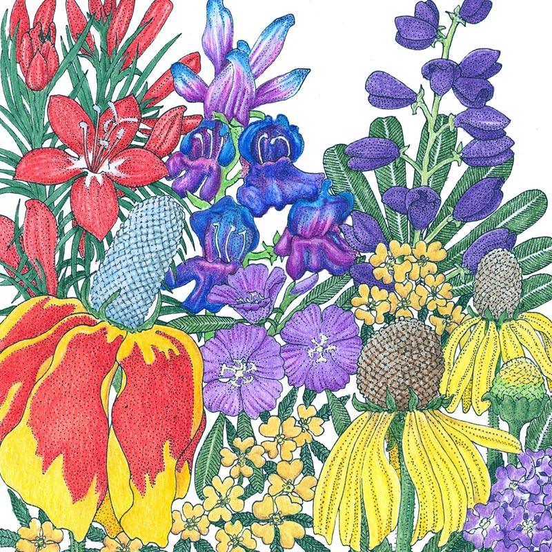 North American Perennial Wildflower Mix (lb) – Flower Seeds