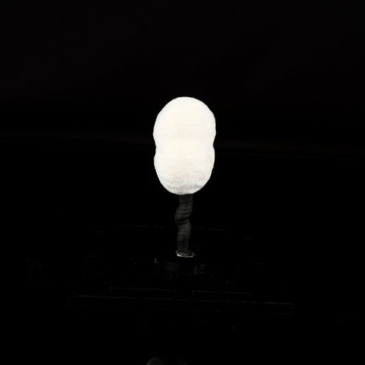 Okenite Big Puffballs Natural Mineral Specimen – okenite