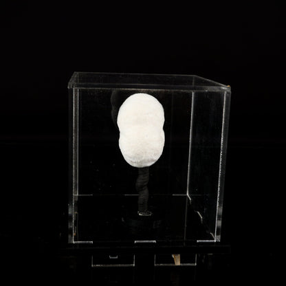 Okenite Big Puffballs Natural Mineral Specimen – okenite