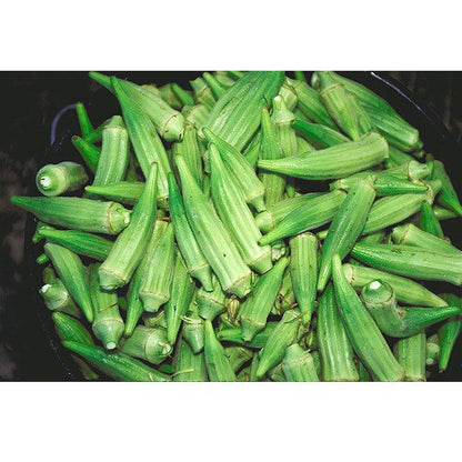 Okra Seeds (Organic) Clemson Spineless 80 – Vegetable Seeds