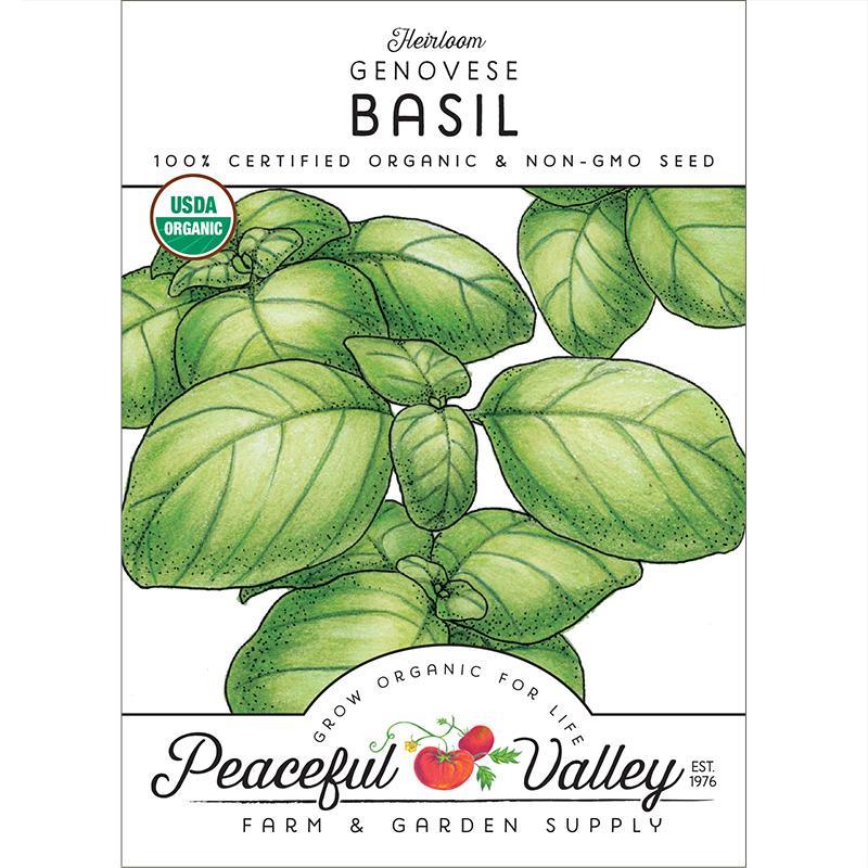 Basil Seeds, Genovese (Organic) – Vegetable Seeds