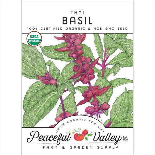 Thai Basil Seeds (Organic) – Vegetable Seeds