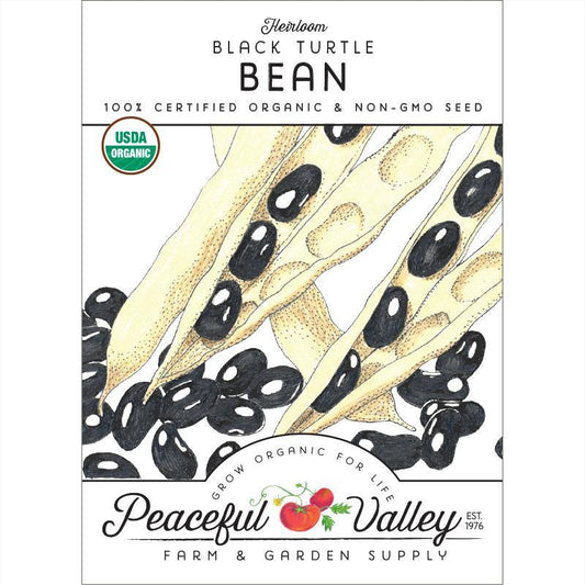 Black Turtle Bush Bean Seeds (Organic) – Vegetable Seeds