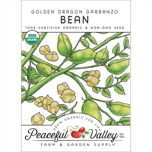 Garbanzo Golden Dragon Bush Bean Seeds (Organic) – Vegetable Seeds