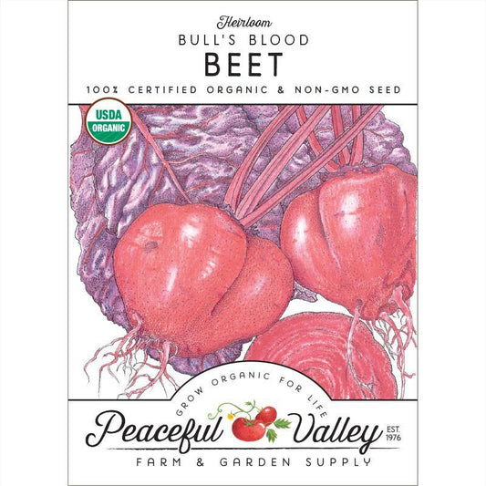 Bull's Blood Beet Seeds (Organic) – Vegetable Seeds