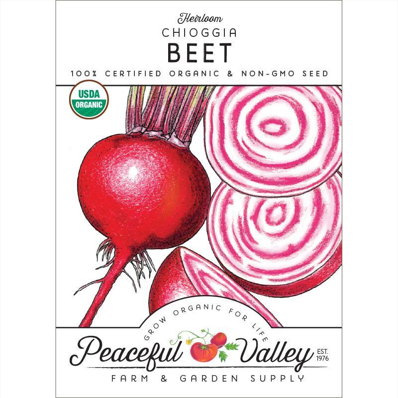 Chioggia Beet Seeds (Organic) – Vegetable Seeds