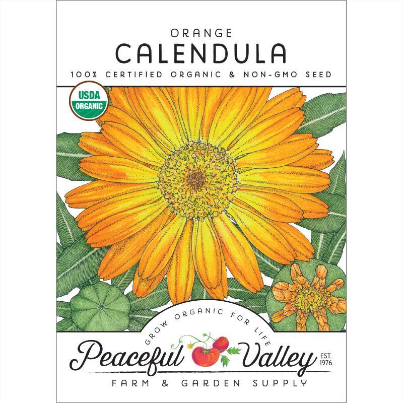 Calendula, Orange, Seeds (Organic) – Flower Seeds