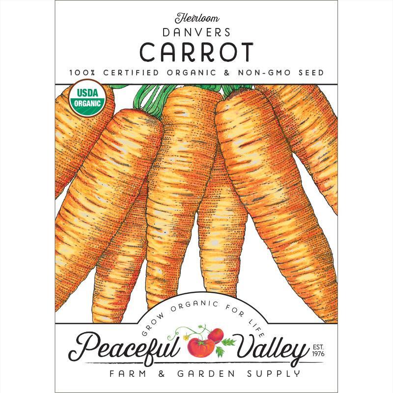 Carrot Seeds (Organic) Danvers – Vegetable Seeds