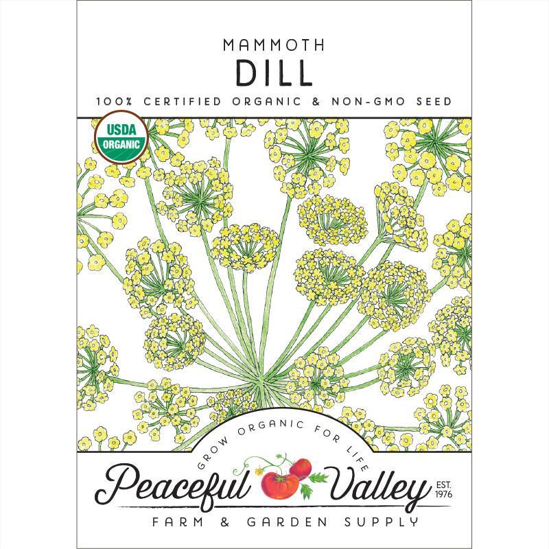 Dill Seeds (Organic) Mammoth – Vegetable Seeds