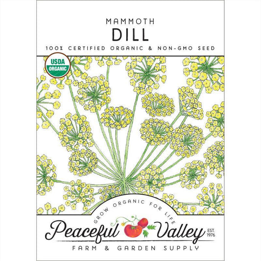 Dill Seeds (Organic) Mammoth – Vegetable Seeds