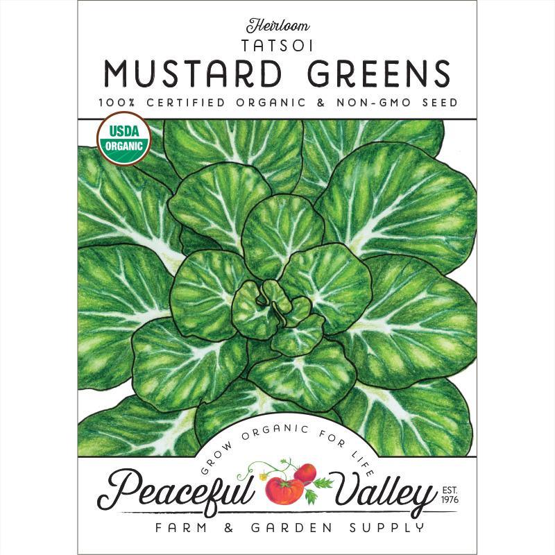 Mustard Greens Seeds, Tatsoi (Organic) – Vegetable Seeds