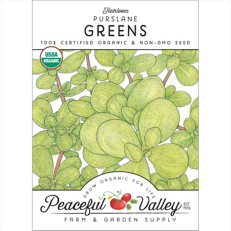Purslane Greens Seeds (Organic) – Vegetable Seeds