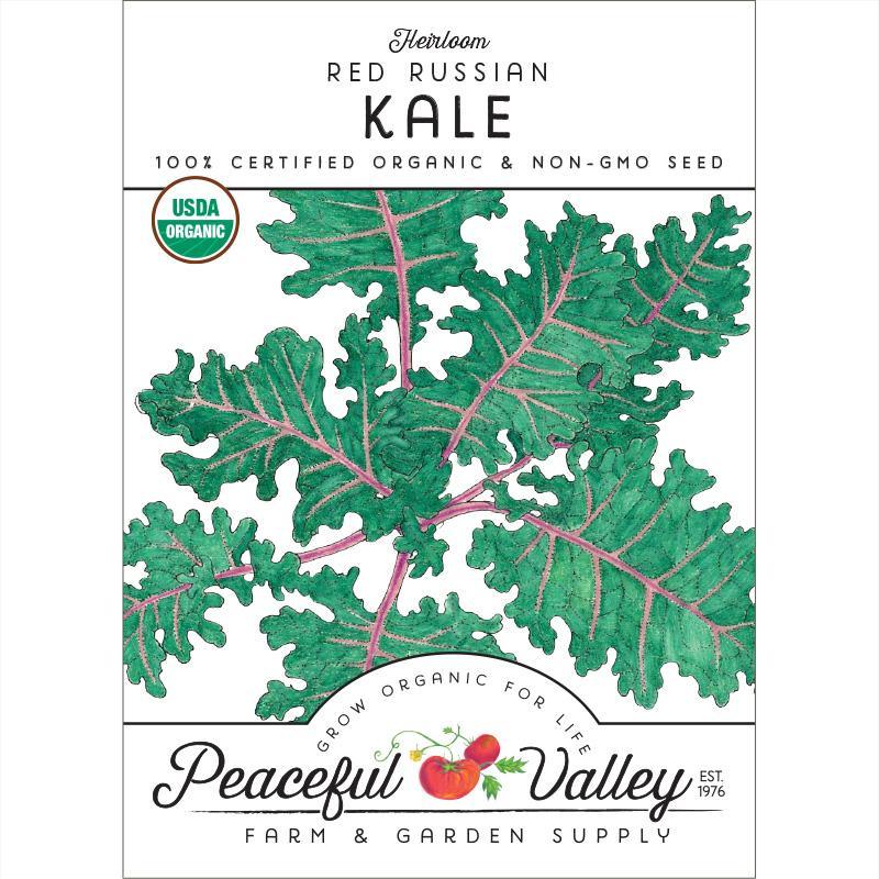 Kale Seeds, Red Russian (Organic) – Vegetable Seeds