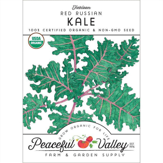Kale Seeds, Red Russian (Organic) – Vegetable Seeds