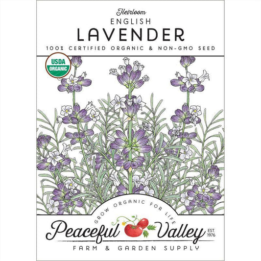 Lavender Seeds, English-Vera (Organic) – Vegetable Seeds