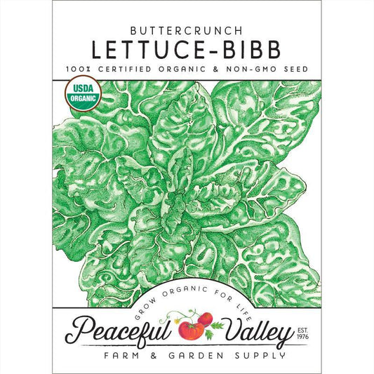 Lettuce Seeds, Buttercrunch (Organic) – Vegetable Seeds