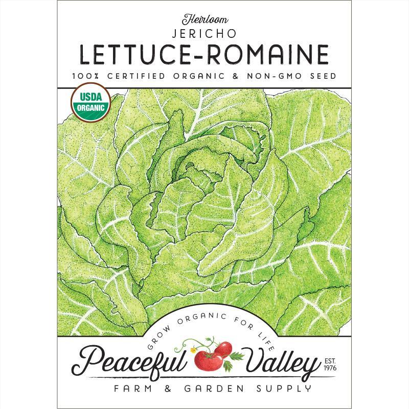 Lettuce Seeds, Romaine, Jericho (Organic) – Vegetable Seeds