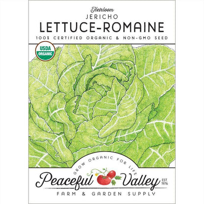 Lettuce Seeds, Romaine, Jericho (Organic) – Vegetable Seeds