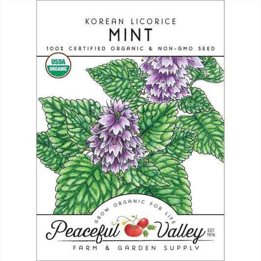 Mint Seeds (Organic) Korean Licorice – Vegetable Seeds