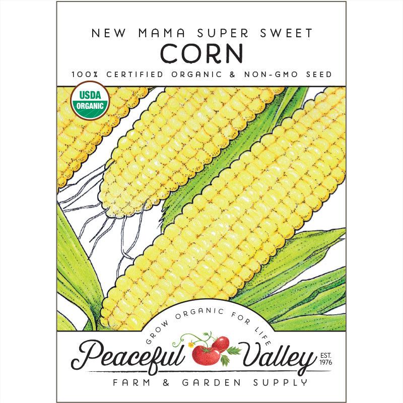 Sweet New Mama Corn Seeds (Organic) – Vegetable Seeds