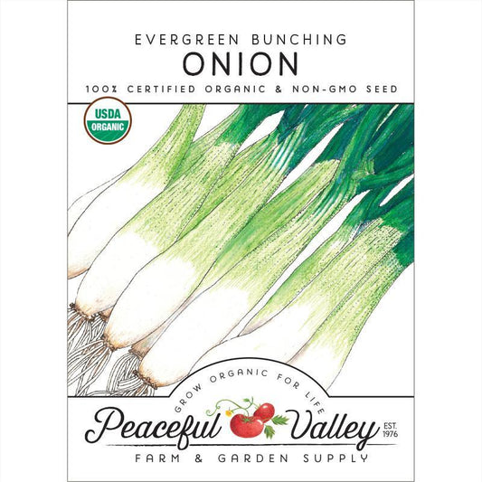 Onion Seeds, Evergreen Bunching (Organic) – Vegetable Seeds
