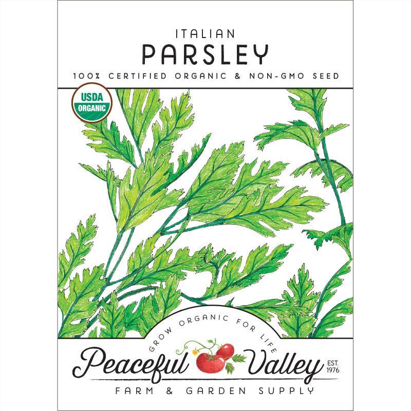Parsley Seeds (Organic) Italian – Vegetable Seeds