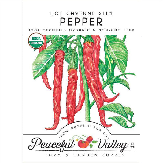 Hot Cayenne Slim Pepper Seeds (Organic) – Vegetable Seeds