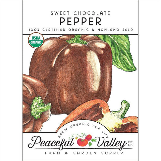 Chocolate Sweet Pepper Seeds (Organic) – Vegetable Seeds