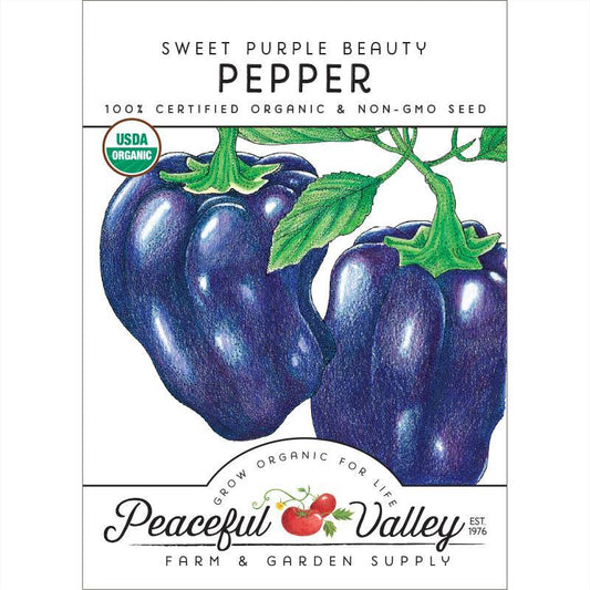 Purple Beauty Sweet Pepper Seeds (Organic) – Vegetable Seeds