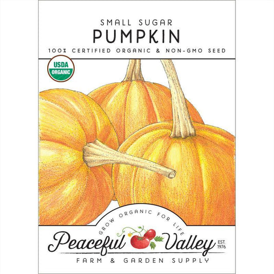 Pumpkin Seeds, Small Sugar (Organic) – Vegetable Seeds