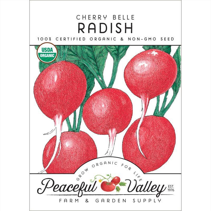 Radish Seeds, Cherry Belle (Organic) – Vegetable Seeds