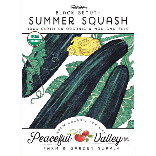 Summer Squash Seeds (Organic) Black Beauty Summer Squash – Vegetable Seeds