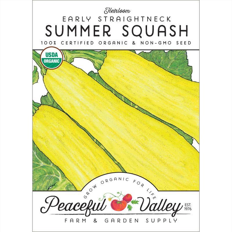 Summer Squash Seeds, Early Straightneck (Organic) – Vegetable Seeds
