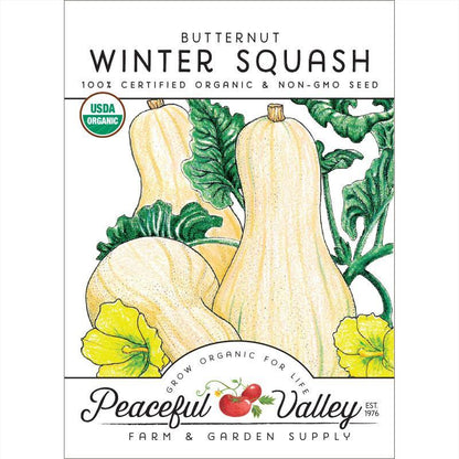 Butternut Winter Squash Seeds (Organic) – Vegetable Seeds