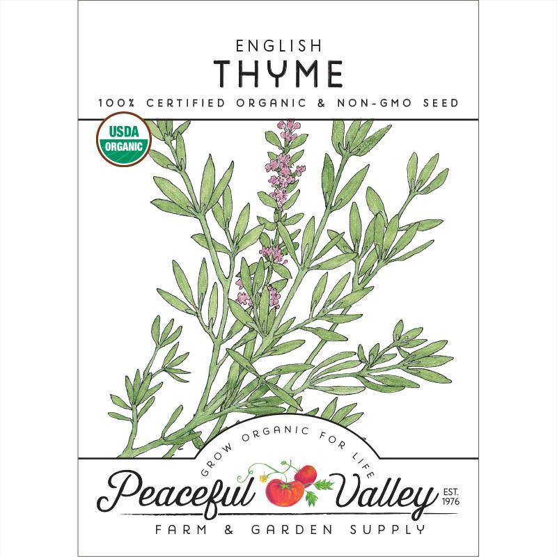 English Thyme Seeds (Organic) – Vegetable Seeds