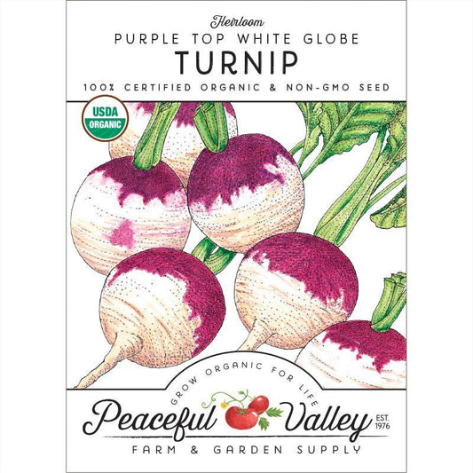 Turnip Seeds (Organic) Purple Top White Globe – Vegetable Seeds