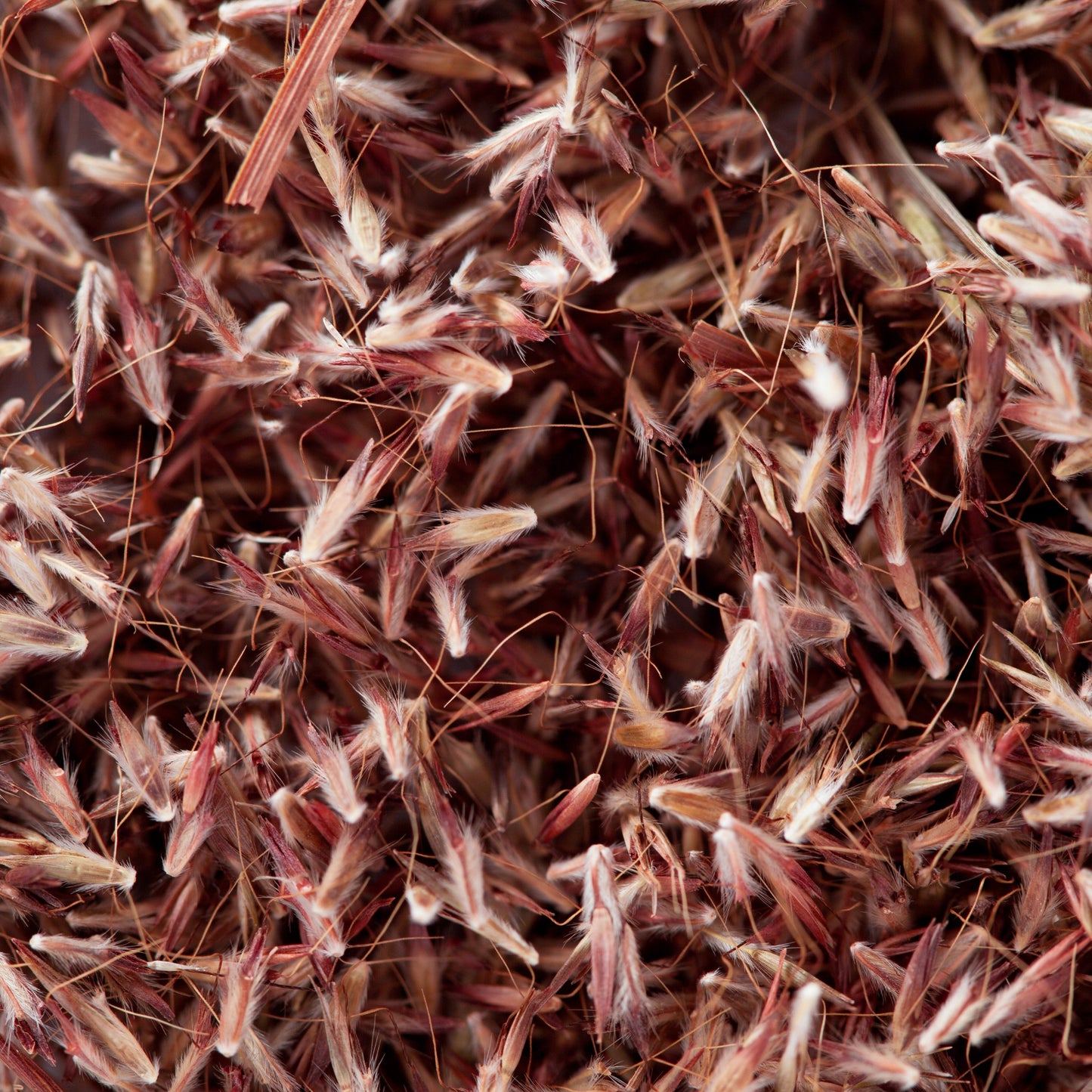 Palmarosa Essential Oil – Essential_Oil