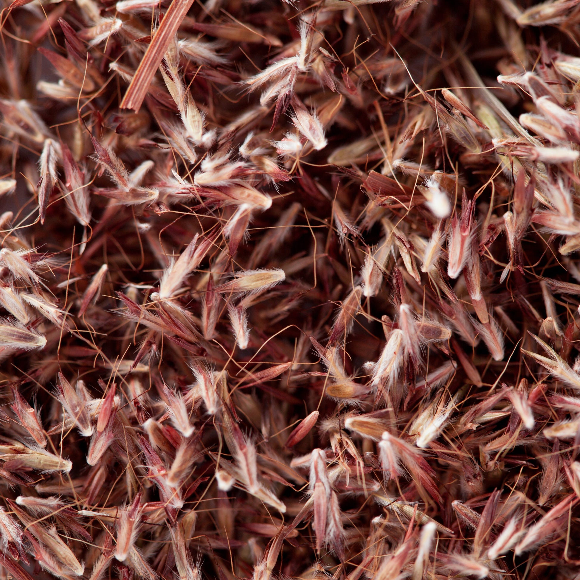 Palmarosa Essential Oil – Essential_Oil