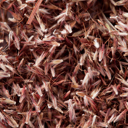 Palmarosa Essential Oil – Essential_Oil