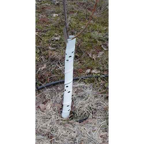 Spiral Tree Guards - 36" (Pack of 5) – Pest Control