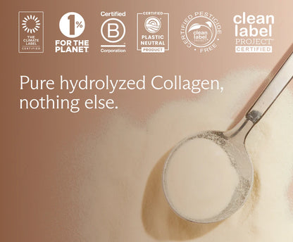 NEEDED Collagen Protein Powder – Unflavored, 16 oz