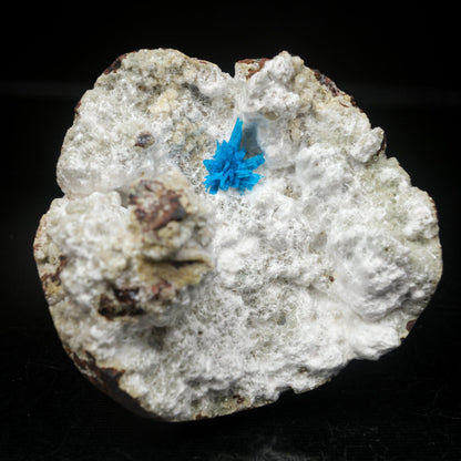 Pentagonite on Mordeite (Rare Find) Natural Mineral Specimen – Pentagonite